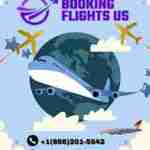 booking flightus Profile Picture