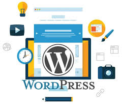 Invoidea is The Best Website Designing Agency in South Delhi July 13, 2024