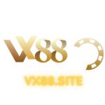 Vx88 site profile picture