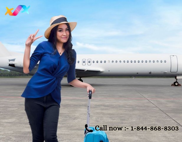 ¿Cómo hablar con alguien de Southwest Airlines? Article - ArticleTed -  News and Articles