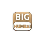 Big Mumbai Games Profile Picture