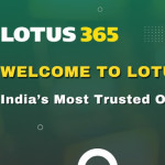 lotus win Profile Picture