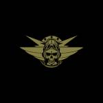 Bulkhead Energy Profile Picture