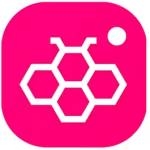 honista22 Profile Picture