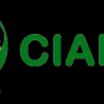 Cialis UAE Profile Picture
