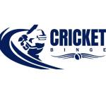 Cricketbinge Profile Picture