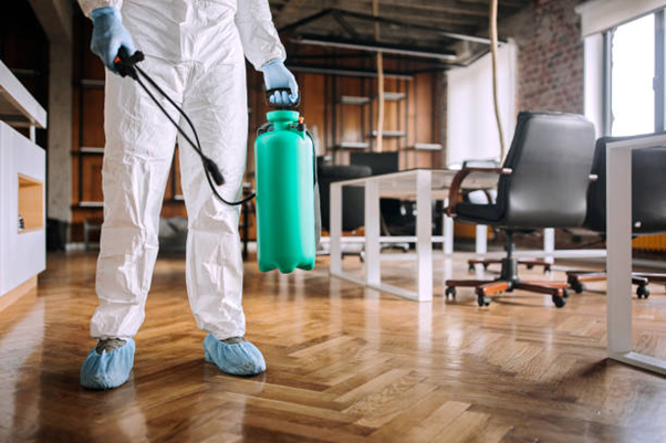 How Monthly and Annual Pest Control Contracts Save You Money in the Long Run