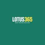 lottuss365 Profile Picture