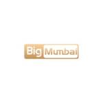 Big Mumbai Game Profile Picture