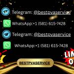 Bestpvaservice Profile Picture