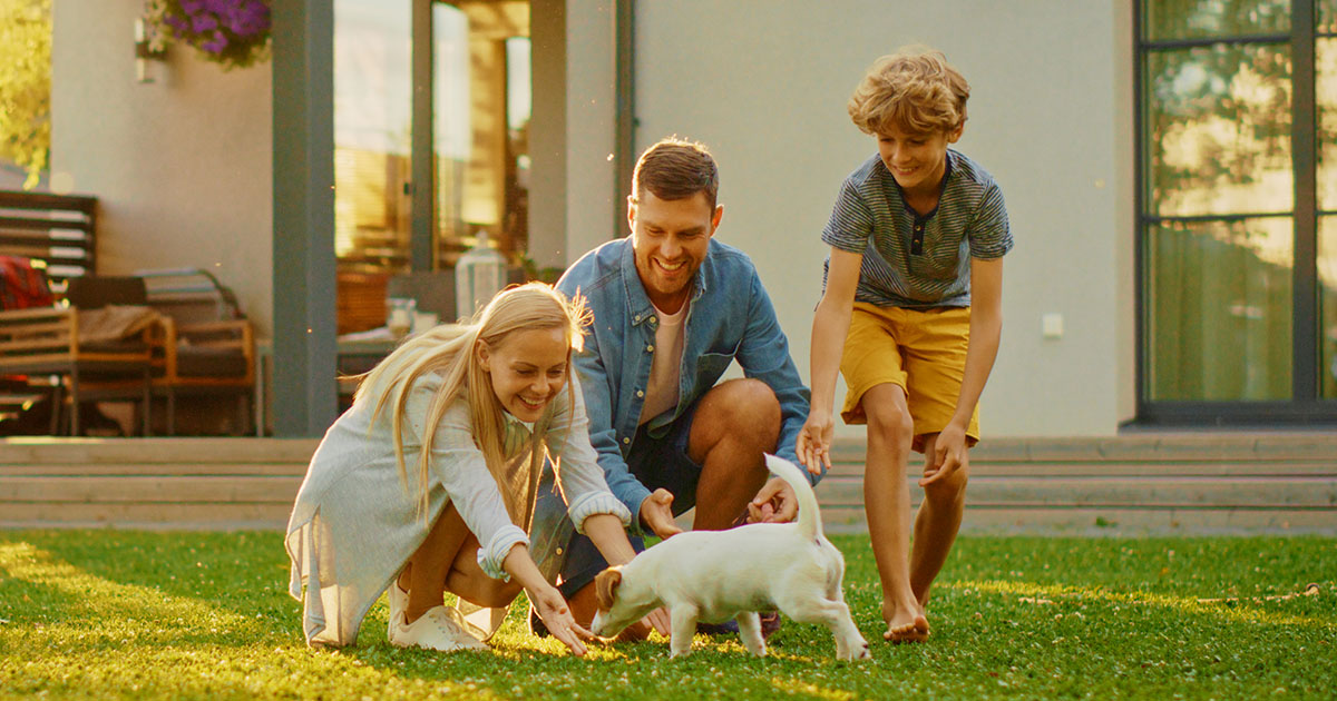 Shipping Pets Overseas - Overseas Shipping Services - OSS World Wide Movers