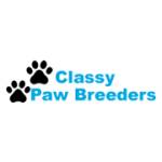 Classy Paw Breeders Profile Picture