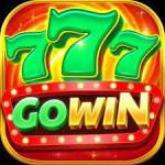 gowin Profile Picture