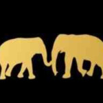 Dreamy Destinations Profile Picture