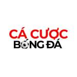 Top Web Cá Cược Bóng Đá An Toàn Bảo Mật Nhất 2026 Profile Picture