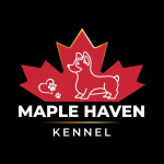 Maple Haven kennel Profile Picture