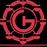 Gt amusement Profile Picture