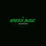 GBZ WELLNESS UK LTD Profile Picture