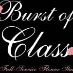 Burst of Class Profile Picture