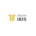 Trehan Iris Profile Picture