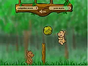 Teddy Ball Profile Picture