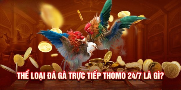 Đá Gà Trực Tiếp 24/7 - Trải Nghiệm Cược 8xbet