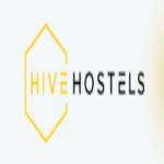 Thehive hostel Profile Picture