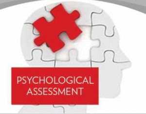 What is Psychological Assessments? – Wellness Clinic