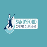 Sandyford Carpet Cleaning Profile Picture