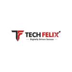 Tech Felix Profile Picture