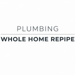 Plumbing Whole Home Repipe Profile Picture