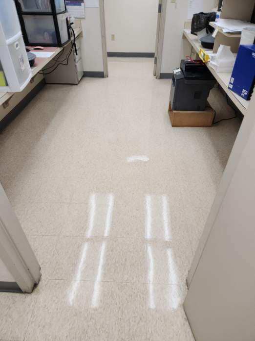 Top Cleaning Services in Lansing MI for Spotless Results