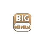 Big Mumbai Game Profile Picture