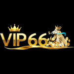Vip66 GG Profile Picture
