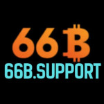 66B Support Profile Picture