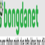 BongdaNET Org Profile Picture