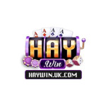 Hay win Profile Picture