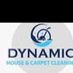 Dynamic cleaning Profile Picture