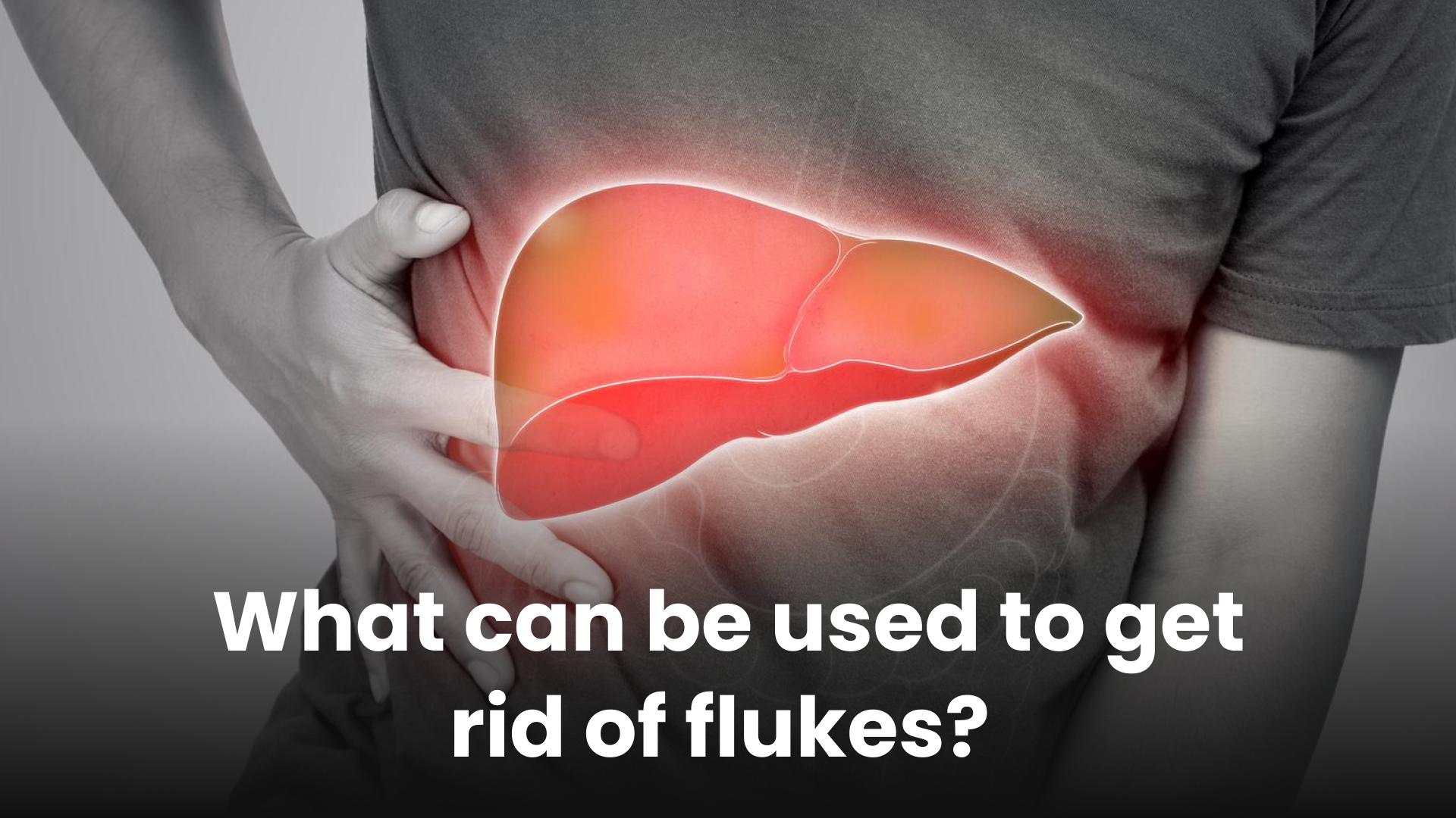 What can be used to get rid of flukes?