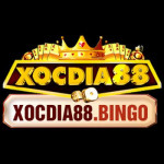 Xocdia88 Bingo Profile Picture