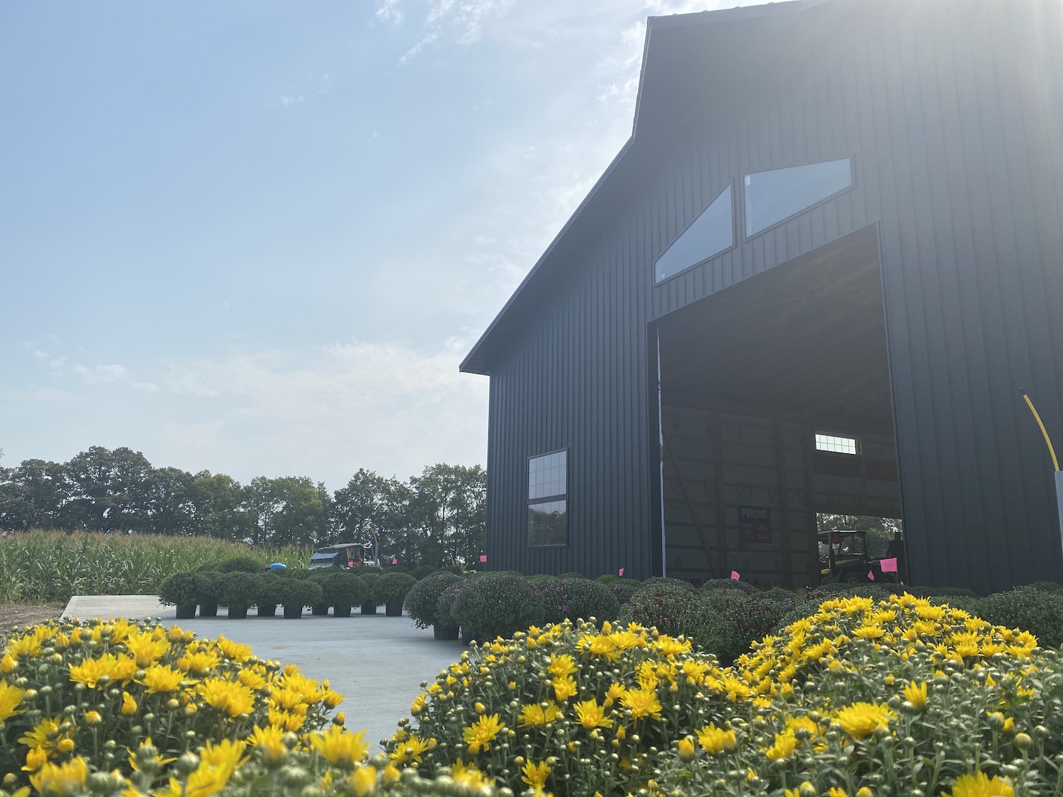 Why Couples Choose Quiet Wedding Venues in Ohio