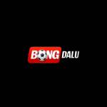 bongdalu agency Profile Picture