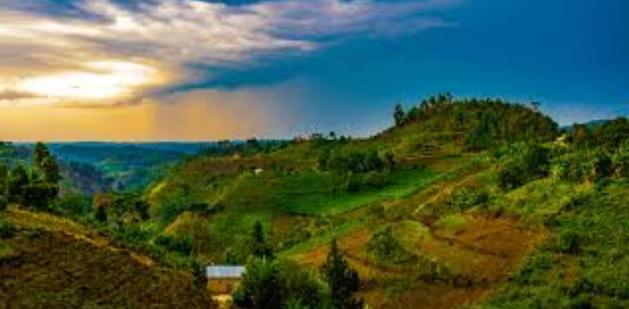 Brussels Airlines Rwanda Office +1-888-839-0510