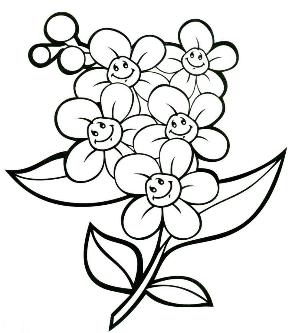 Planse de colorat cu Flori | Desene de Colorat