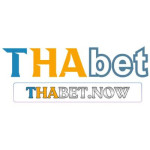 thabet now Profile Picture