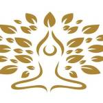 Best Ayurveda Resort Kerala Aanandakosha Ayurveda Retreat Profile Picture