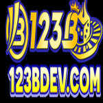 123Bdev com Profile Picture