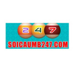 Soi cầu 247 Profile Picture