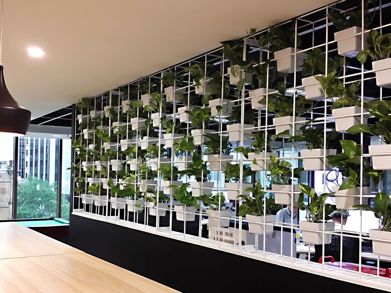 Inscape Indoor Plant Hire: How Melbourne Plant Hire Can Transform Your Space with Indoor Plants Melbourne