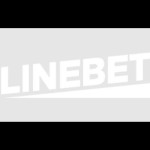 ibetinindia official Profile Picture